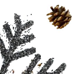 Maviband - Happy new year